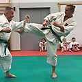 EGZAMINY KARATE W KIME