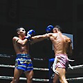 MMA