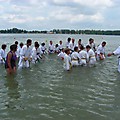DSCN8490