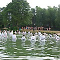 DSCN8583