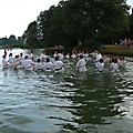 DSCN8598