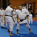 foto _45