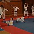 foto _49