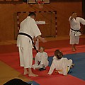 foto _50