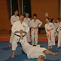 foto _59