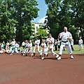 POKAZY