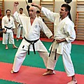 Seminarium dla czarnych pasów