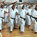 KARATE & KOBUDO_1