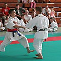 IMG_2511