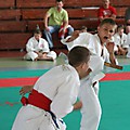 IMG_2513