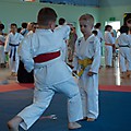 DSC_0012adg