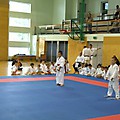 DSCF7146