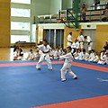 DSCF7147