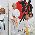 X Puchar Polski Dzieci w Karate Fudokan