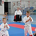 X Puchar Polski Dzieci w Karate Fudokan