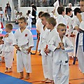 X Puchar Polski Dzieci w Karate Fudokan