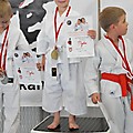 X Puchar Polski Dzieci w Karate Fudokan