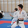 X Puchar Polski Dzieci w Karate Fudokan