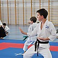 X Puchar Polski Dzieci w Karate Fudokan