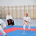 X Puchar Polski Dzieci w Karate Fudokan