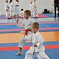 X Puchar Polski Dzieci w Karate Fudokan