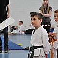 X Puchar Polski Dzieci w Karate Fudokan